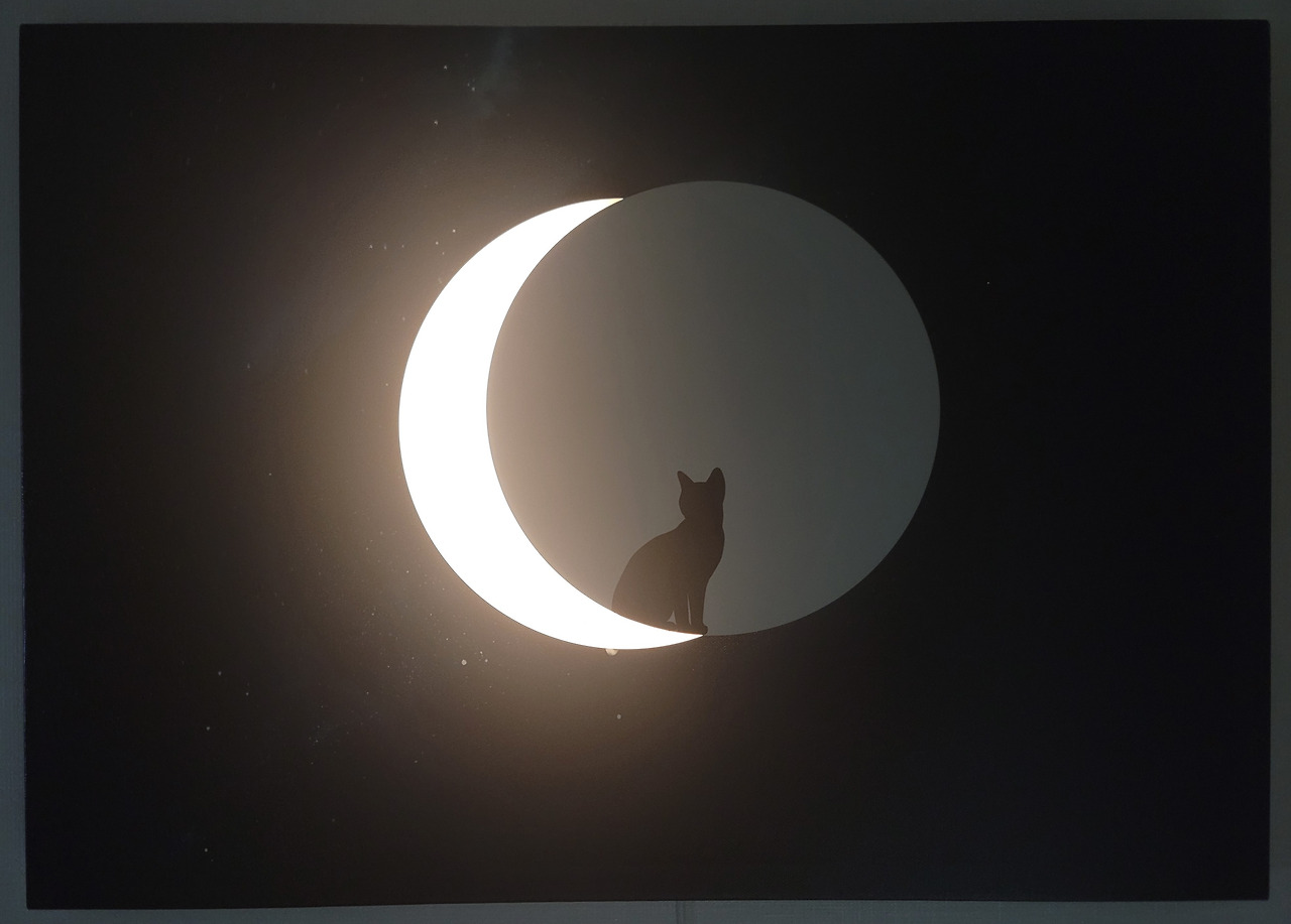 mooncat.jpg