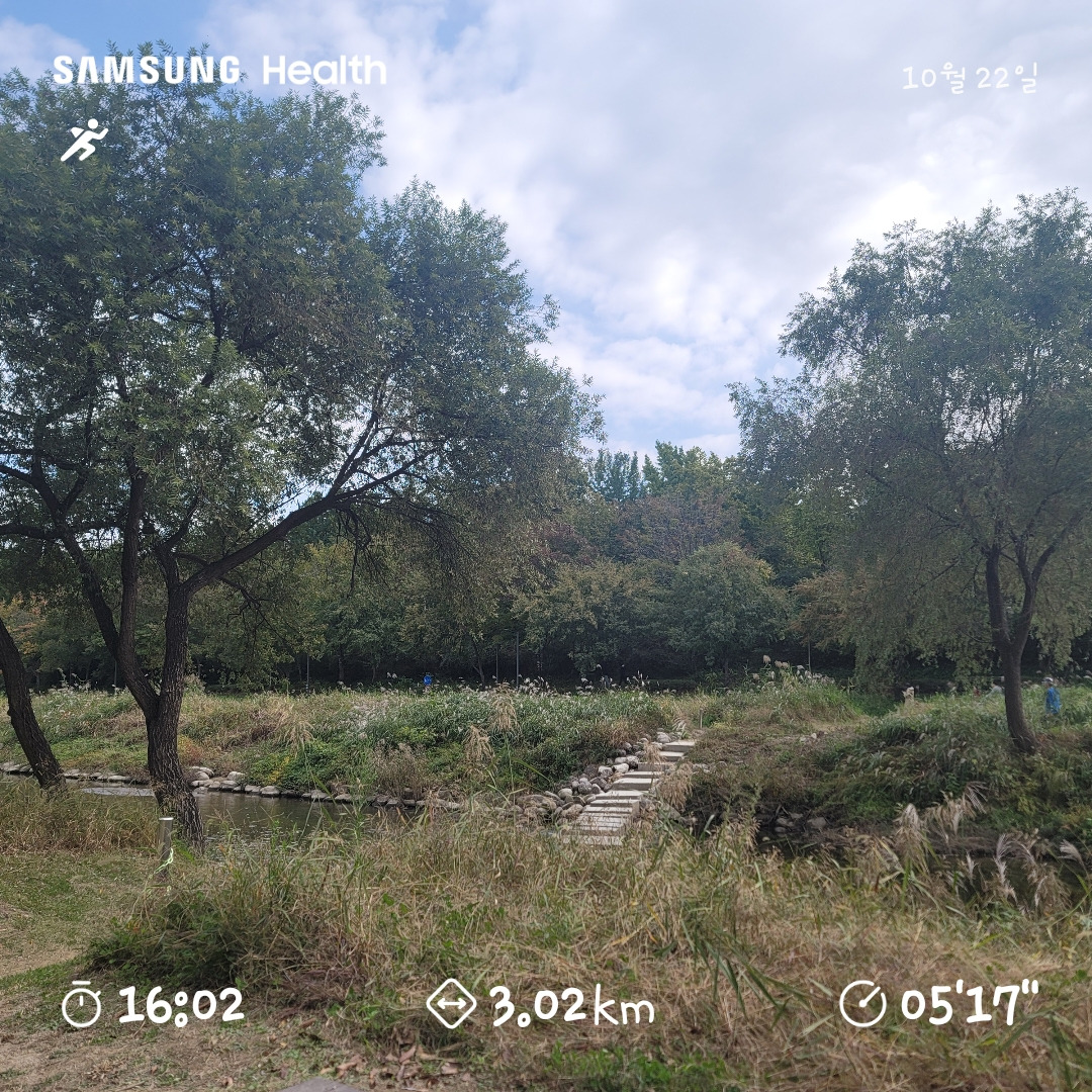 첫 달리기와 후회.jpg