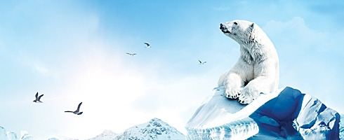 아이멕스 영화6175_IMAX_WotA_WebBanner.jpg