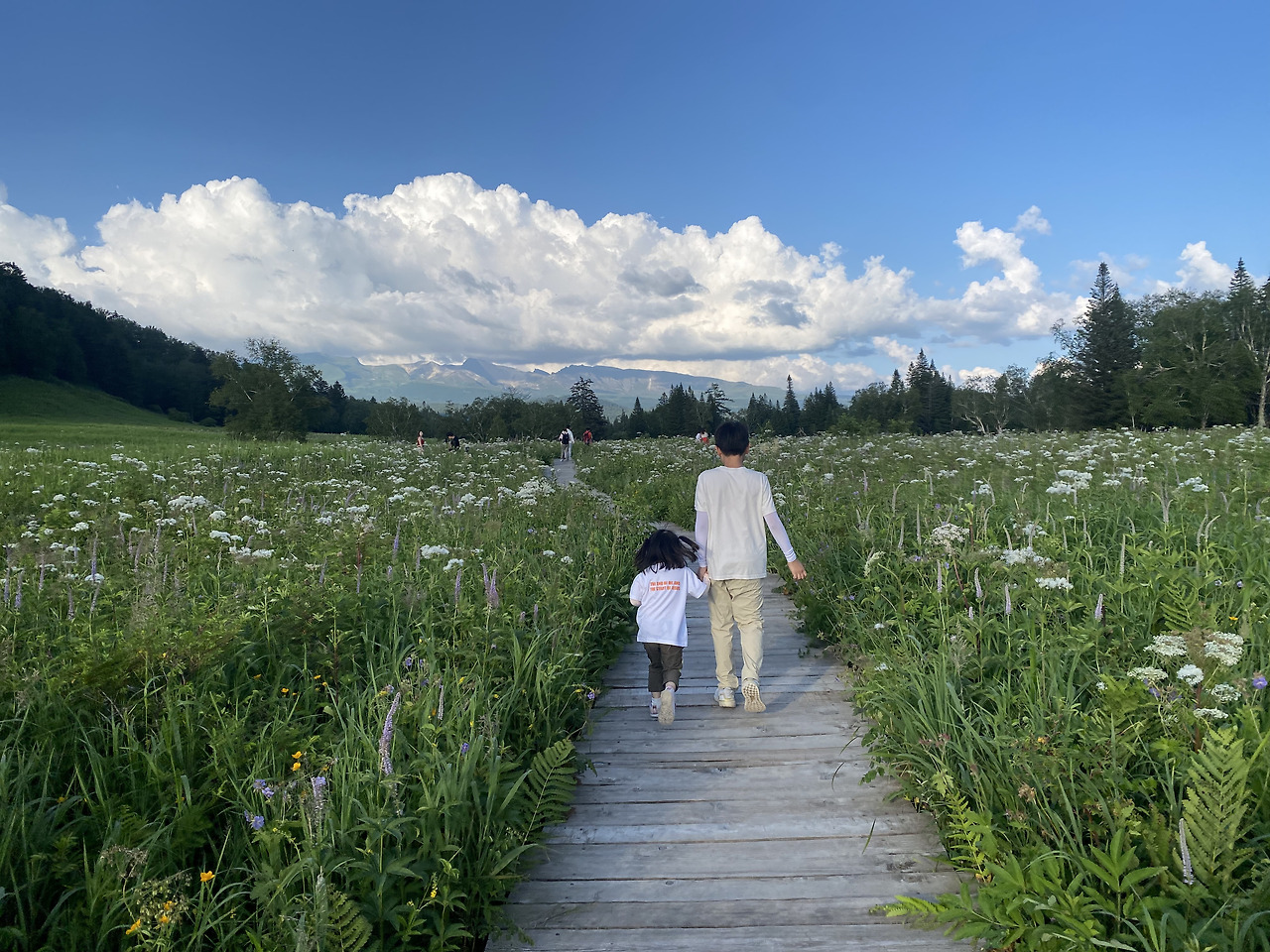 Weixin Image_20241126115943.jpg