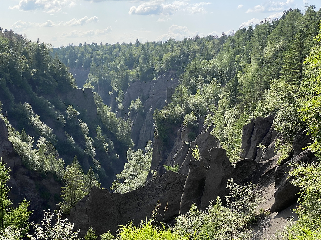 Weixin Image_20241126114802.jpg