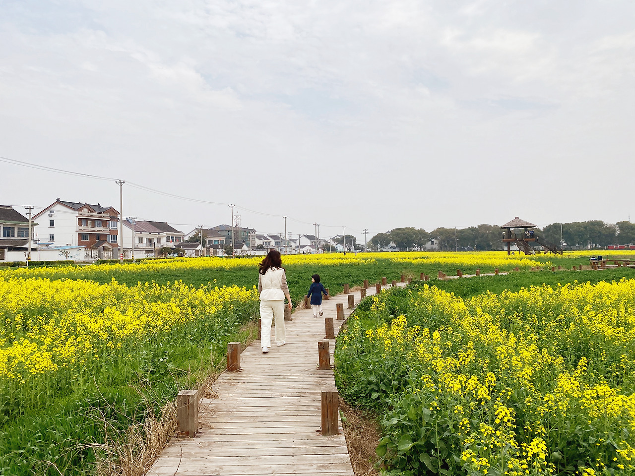 Weixin Image_20241223112206.jpg