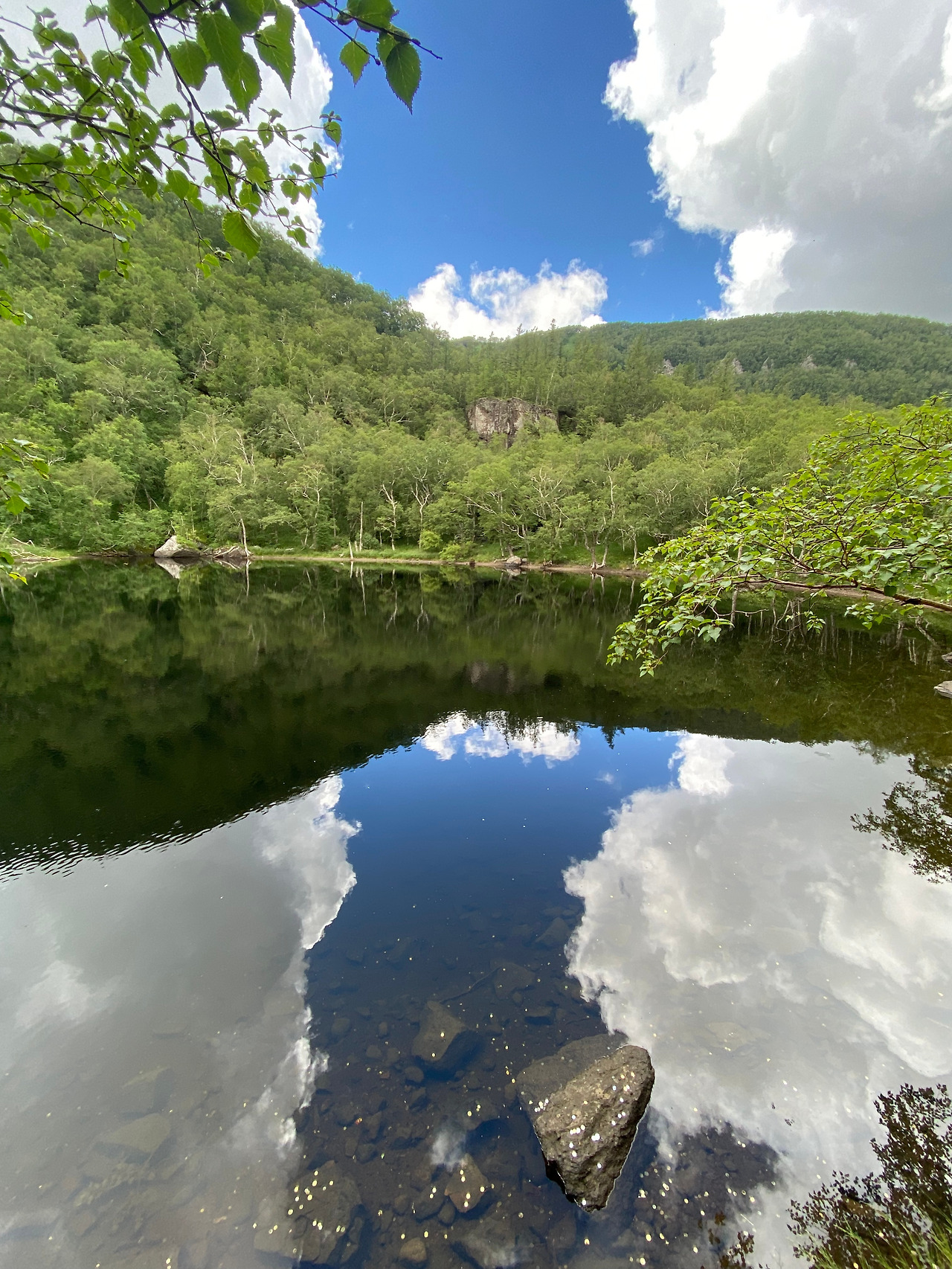 Weixin Image_20241127111900.jpg