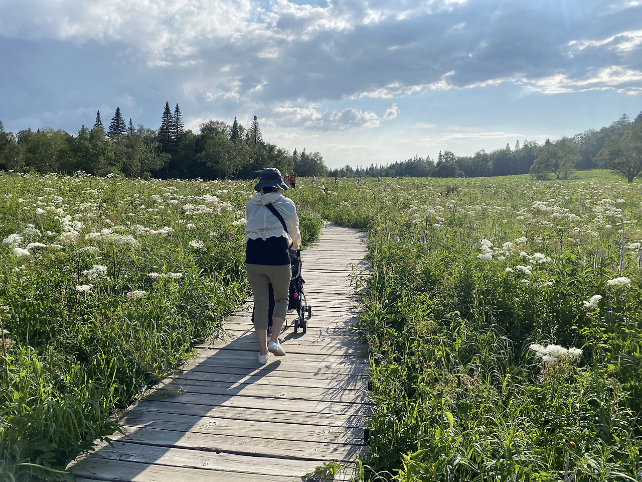 Weixin Image_20241126115913.jpg