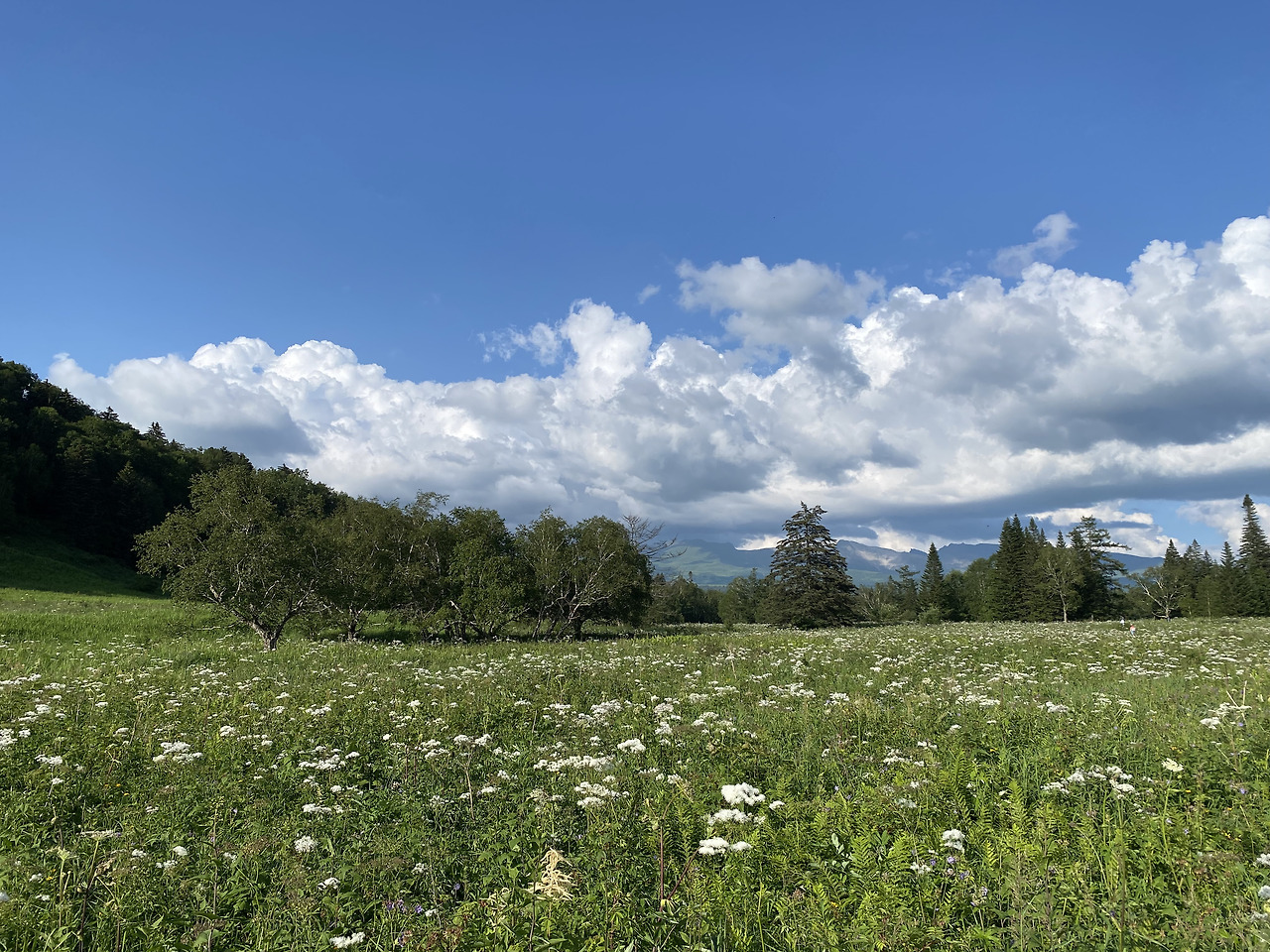 Weixin Image_20241126115919.jpg