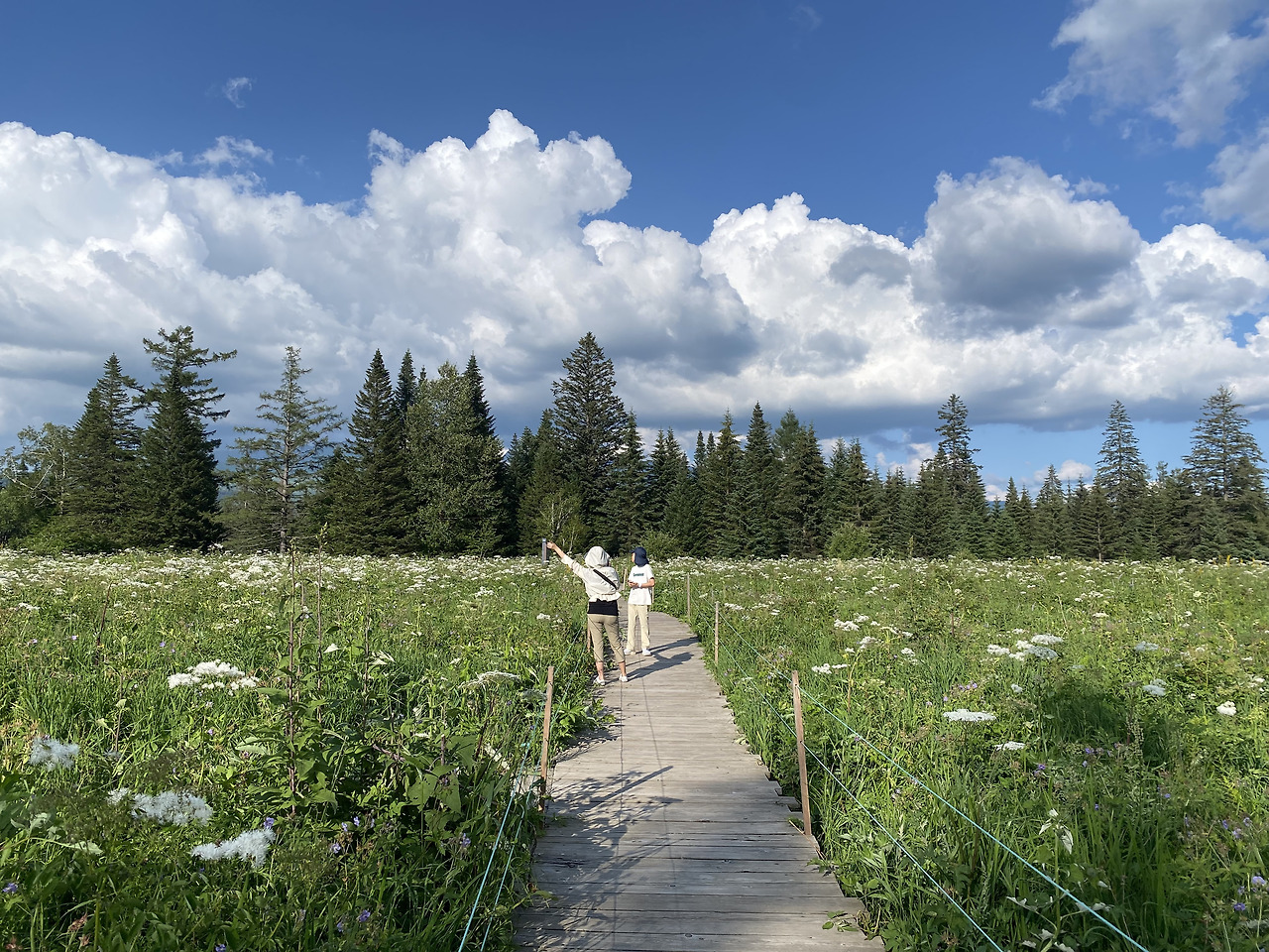 Weixin Image_20241126115907.jpg