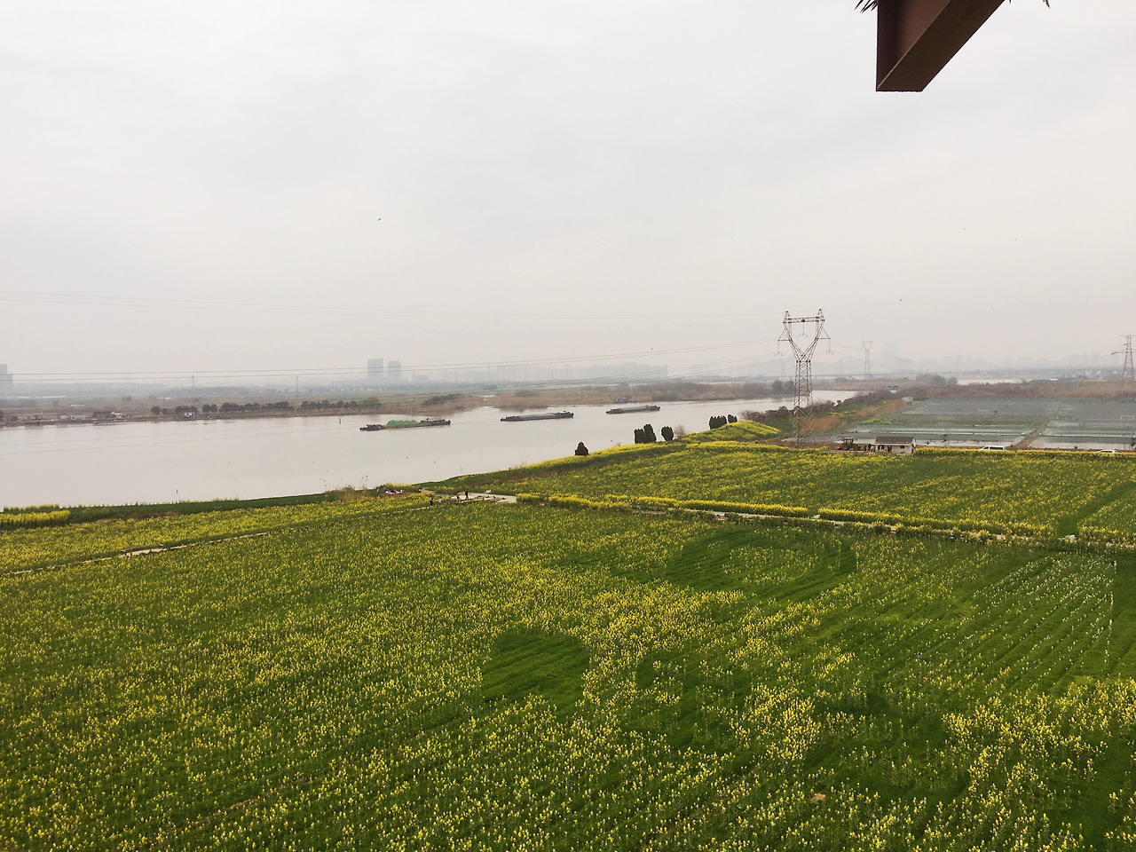 Weixin Image_20241223105822.jpg