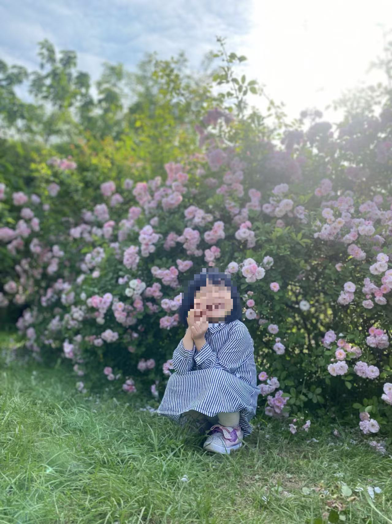 Weixin Image_20241223115213.jpg