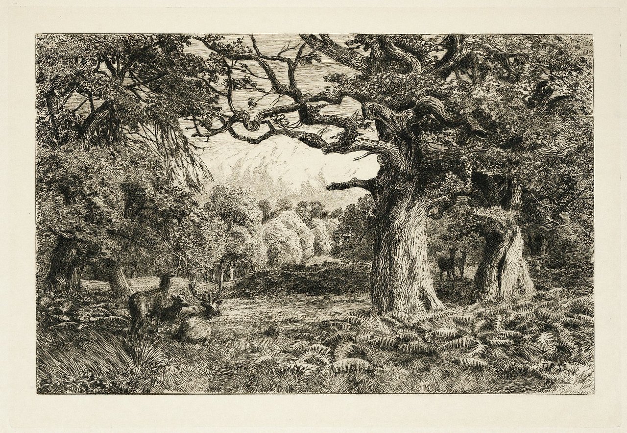Fleay's_Etching_of_the_Forest_of_Arden.jpg