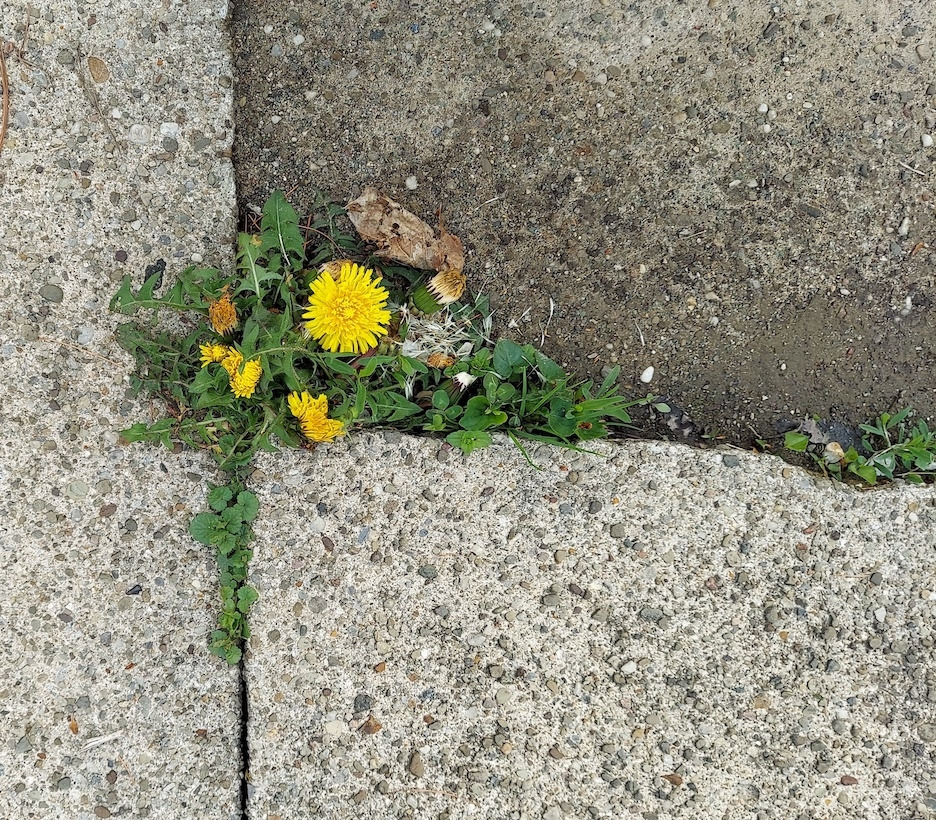 20220505_085826 복사본.jpg