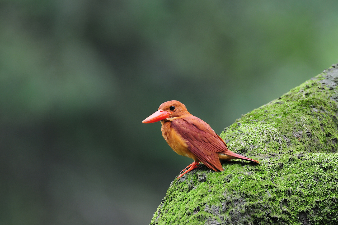 20120720 강원춘천3.jpg
