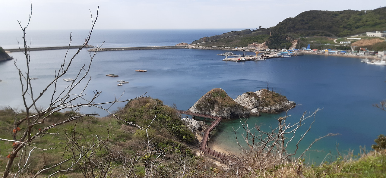 안산에서 내려다 본 풍경.jpg