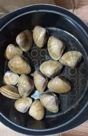 사본 -클립보드 이미지.jpg