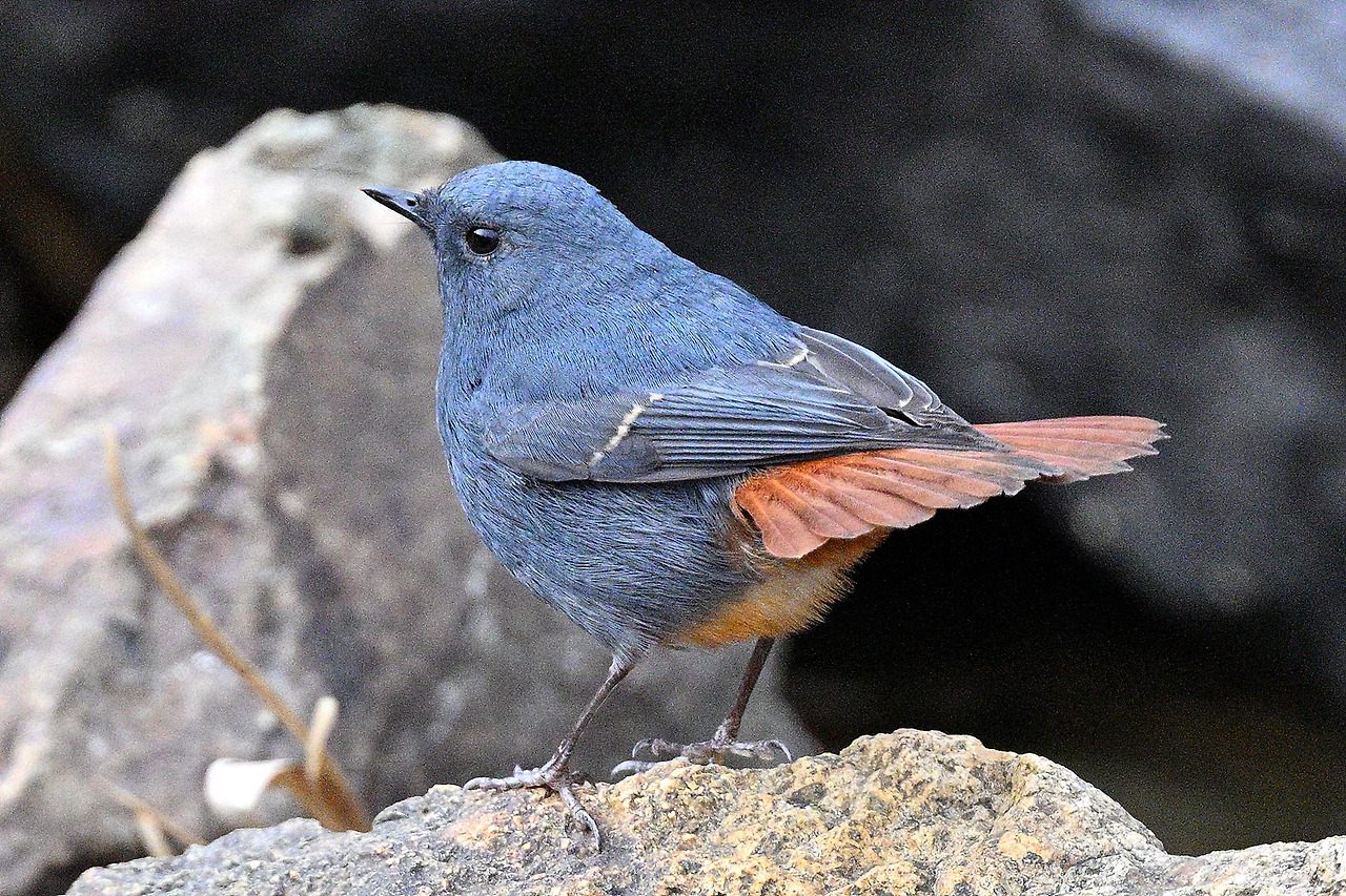 DSC_6670 대구 202211.jpg