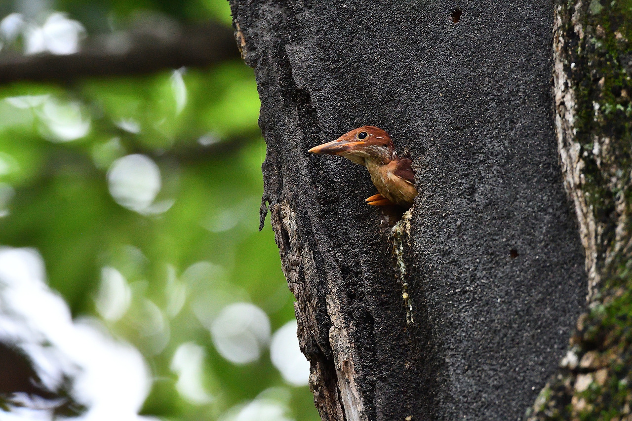 DSC_9316_00001 경북 경주.jpg