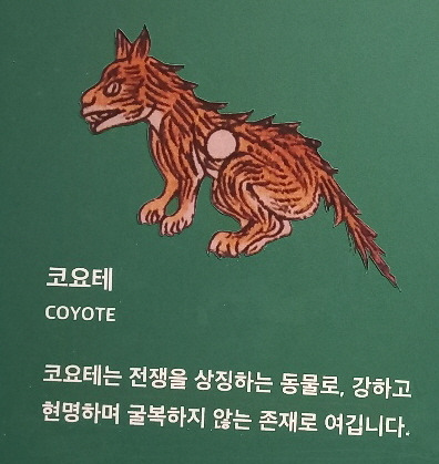 코요테.jpg