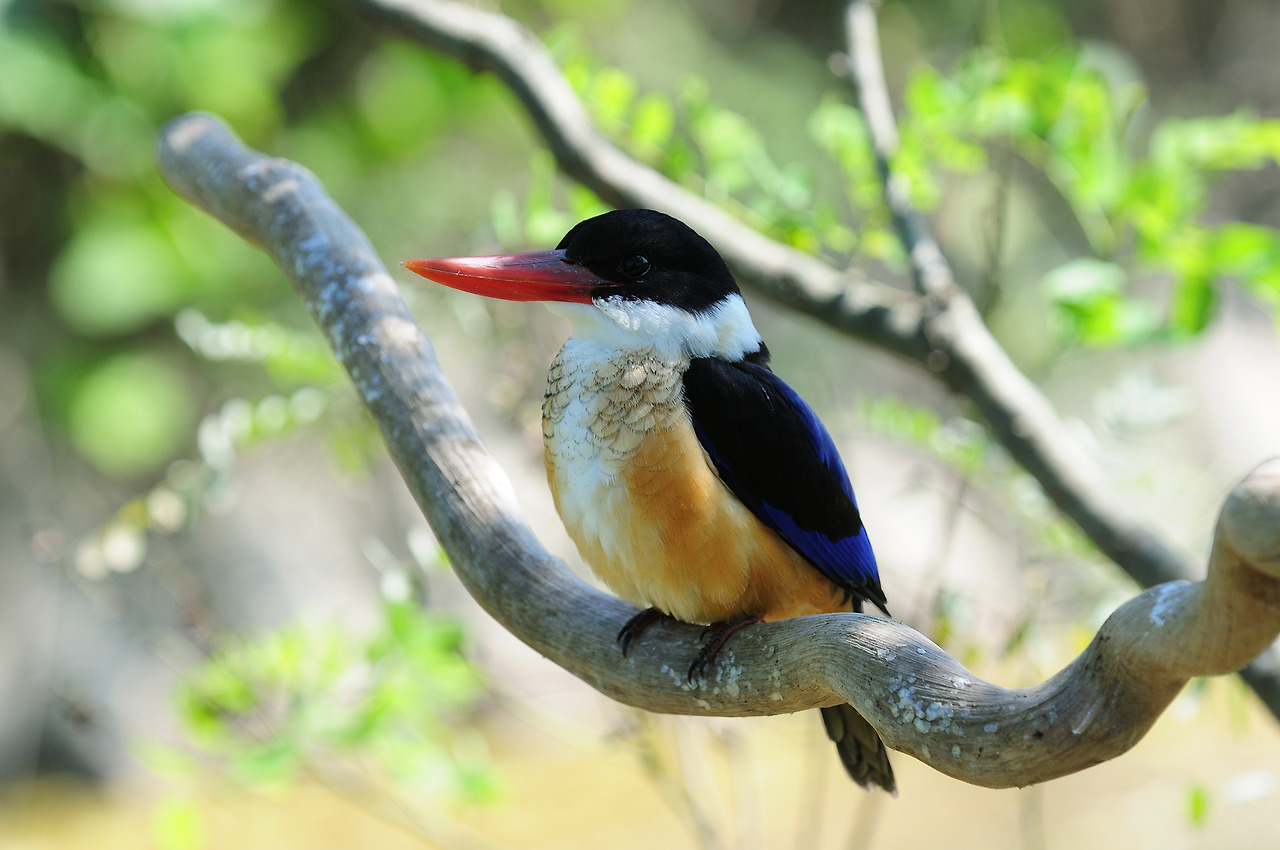 20090901 경기파주1.jpg