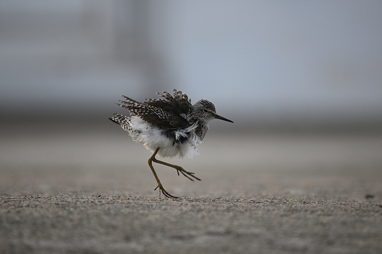 사본 -YSK_7700.jpg