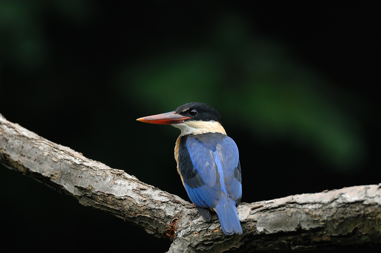 20070728 경기광주1.jpg