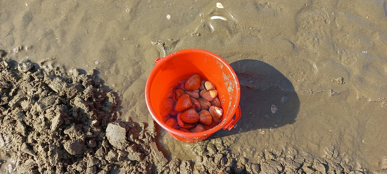 KakaoTalk_20221030_180107162_02 (1).jpg