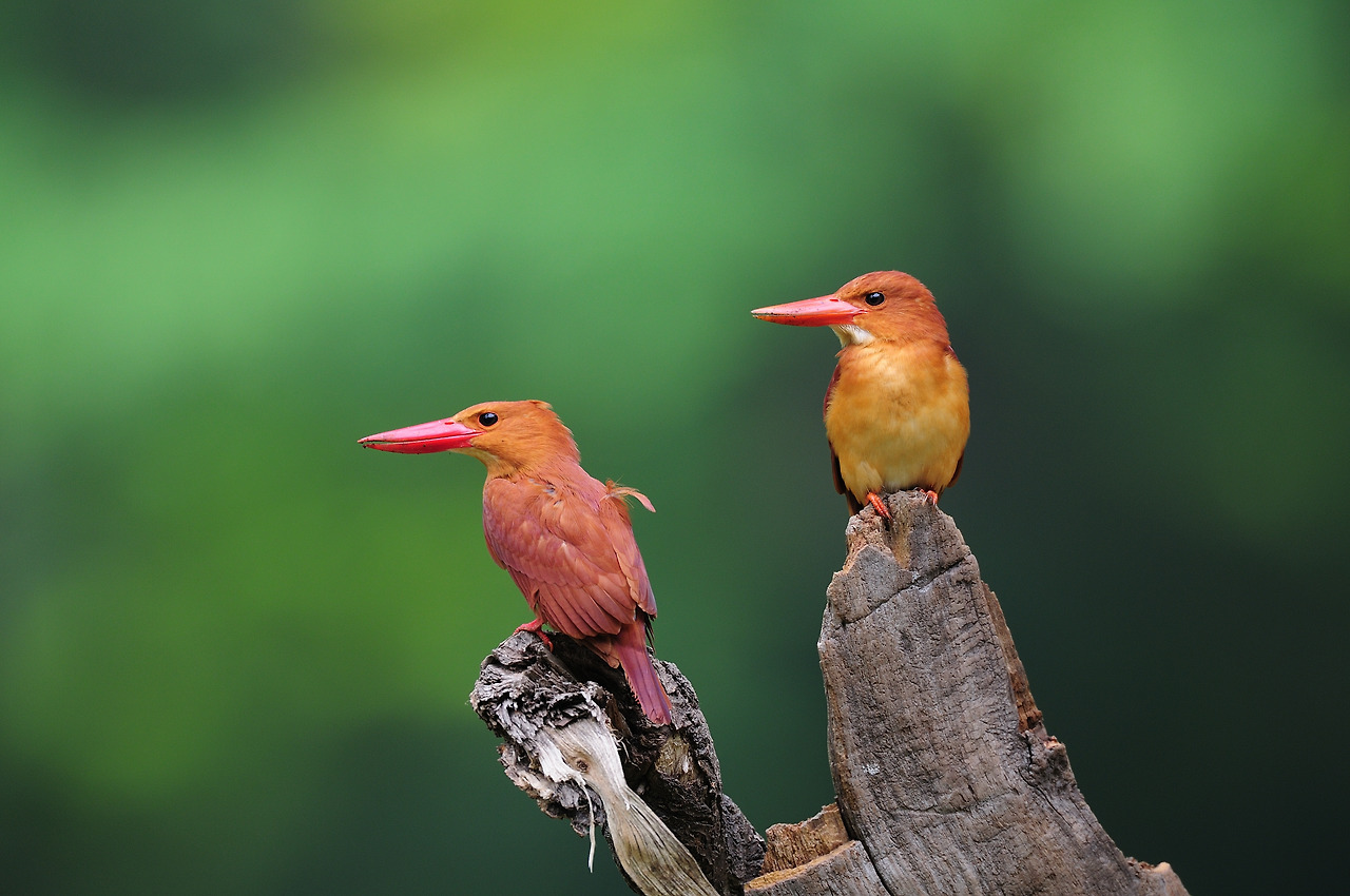 20120527 강원춘천1.jpg