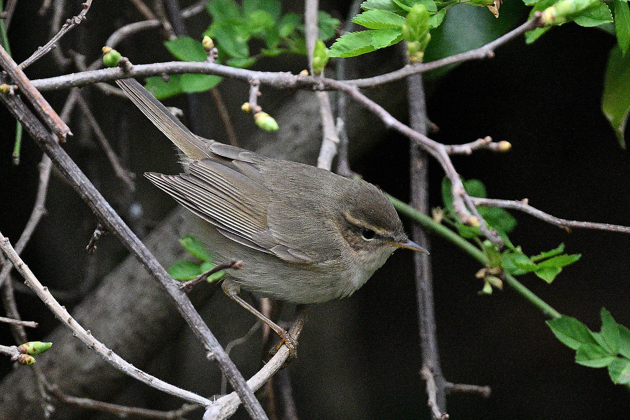 사본 -YSK_1604.jpg