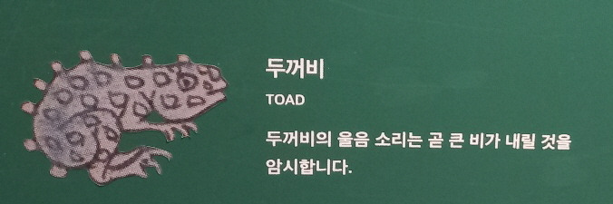 두꺼비.jpg
