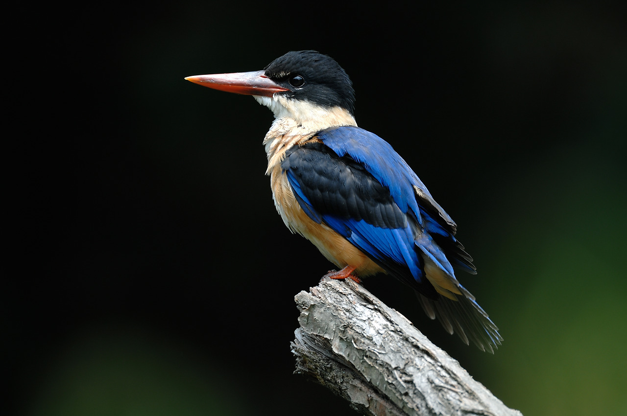 20070801 경기광주1.jpg