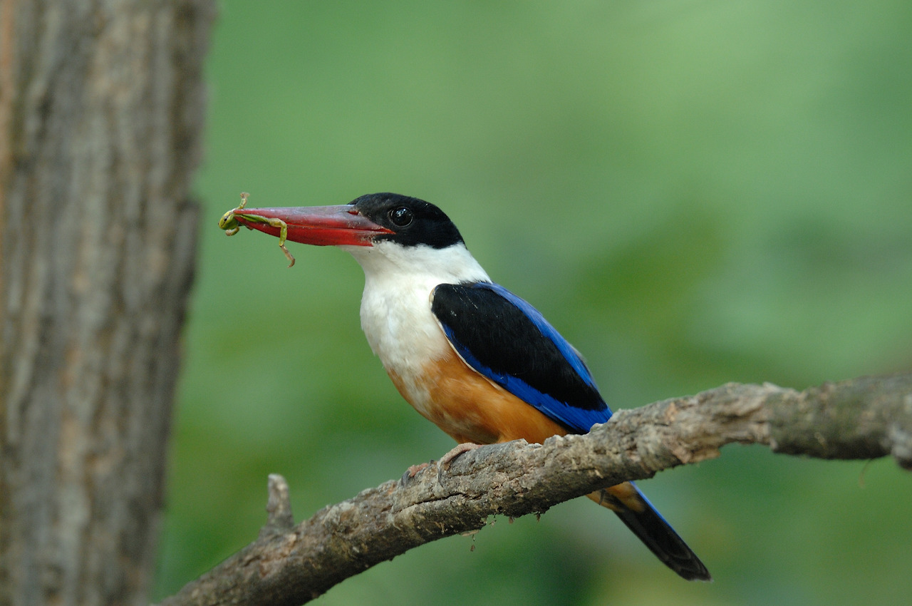 20070620 경기광주1.jpg