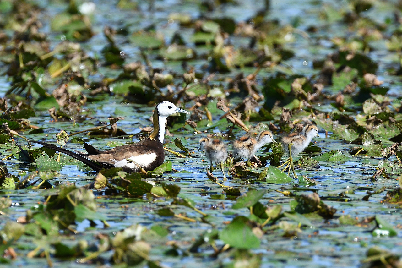 21년 7월 창녕.jpg