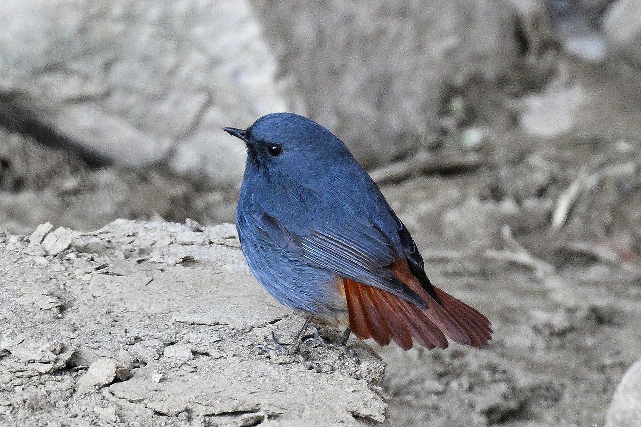 DSC_7339 의정부 202212.jpg