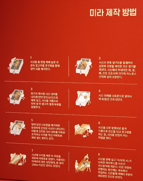 미라 제작방법.jpg