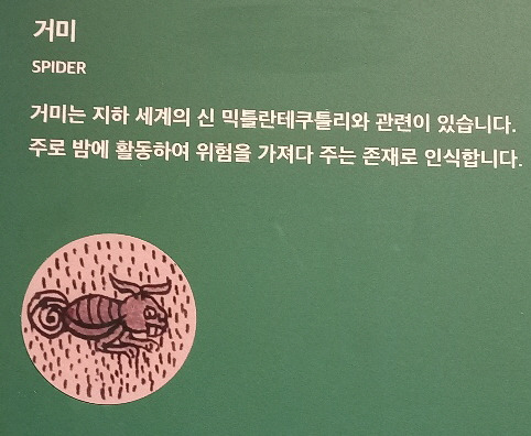 거미.jpg