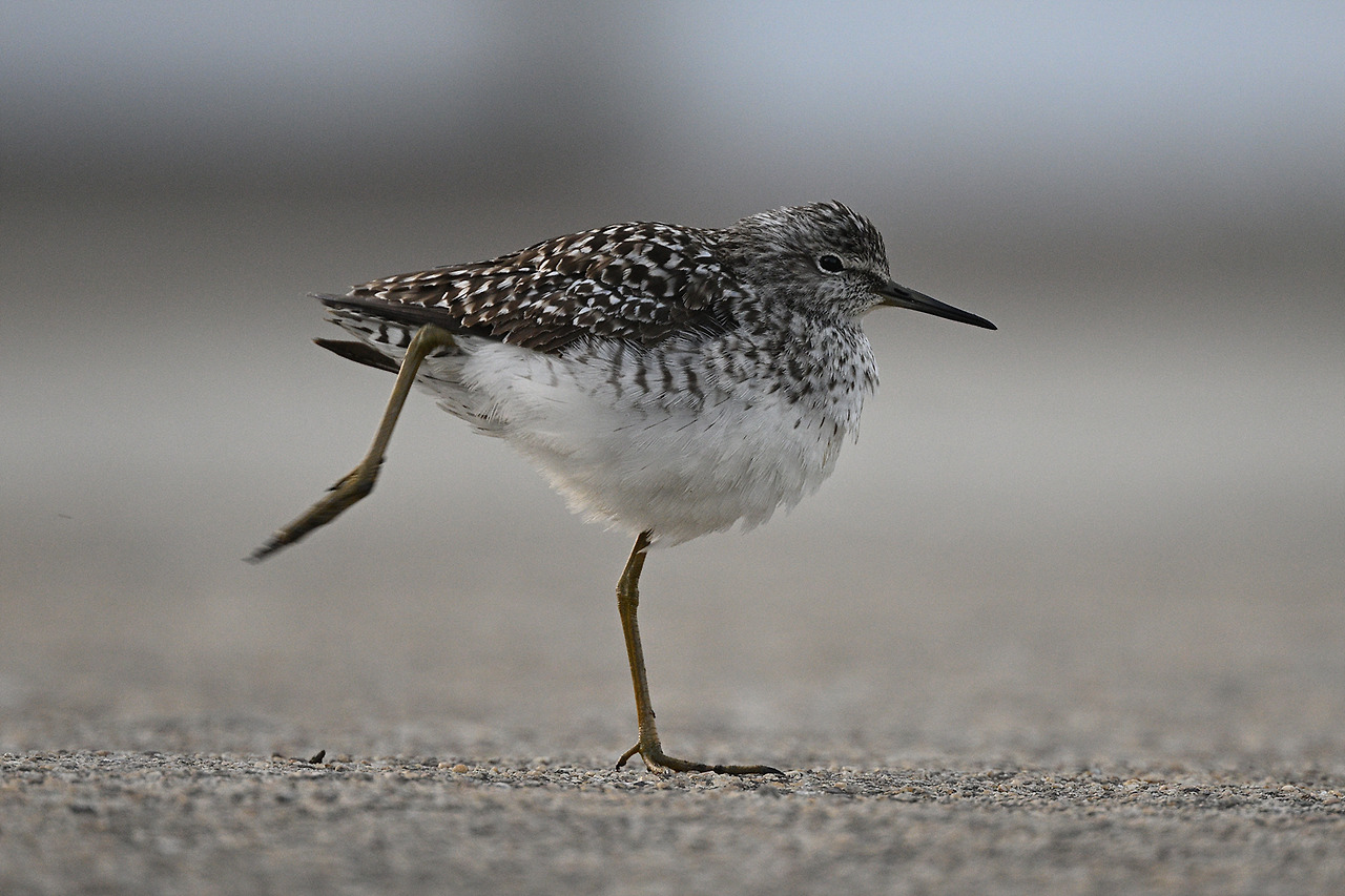 사본 -YSK_7179.jpg