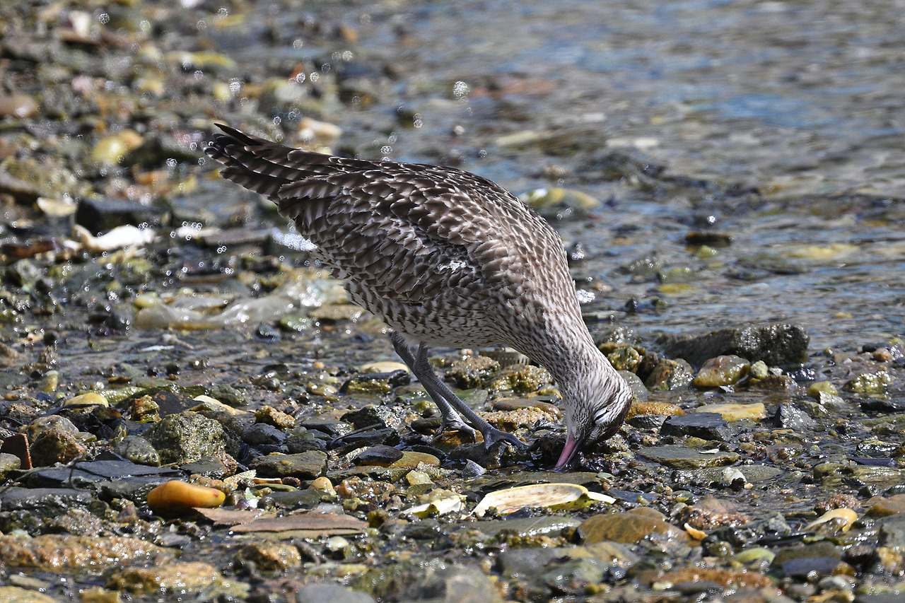 사본 -YSK_0042.jpg