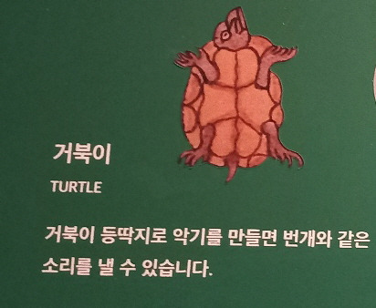 거북이.jpg
