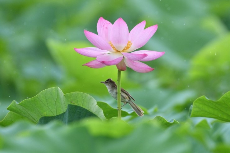 크기변환_DSC_3494_00002 (1).jpg