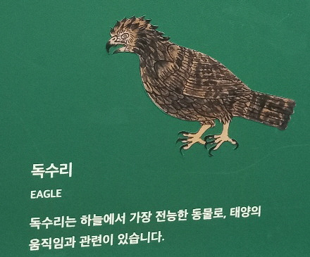 독수리.jpg