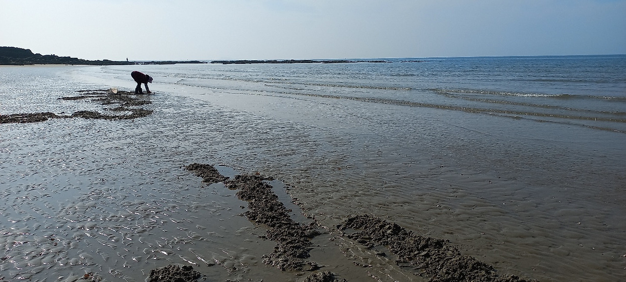 KakaoTalk_20221030_180107162_01 (1).jpg