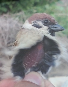 KakaoTalk_20230326_165351186 (2).jpg