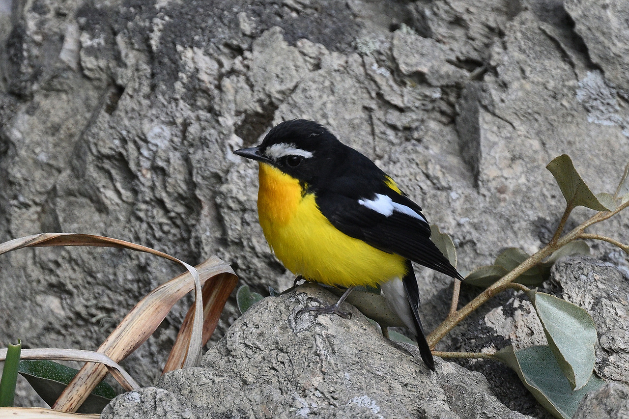 사본 -YSK_5075.jpg