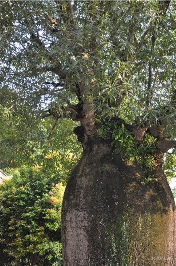 다운로드 (1).jpg