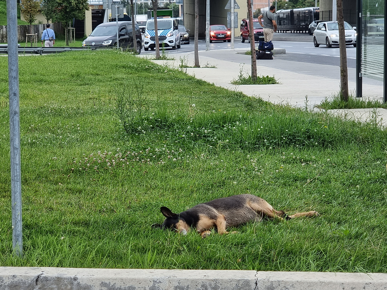 유로파크 인근 산책(1).jpg