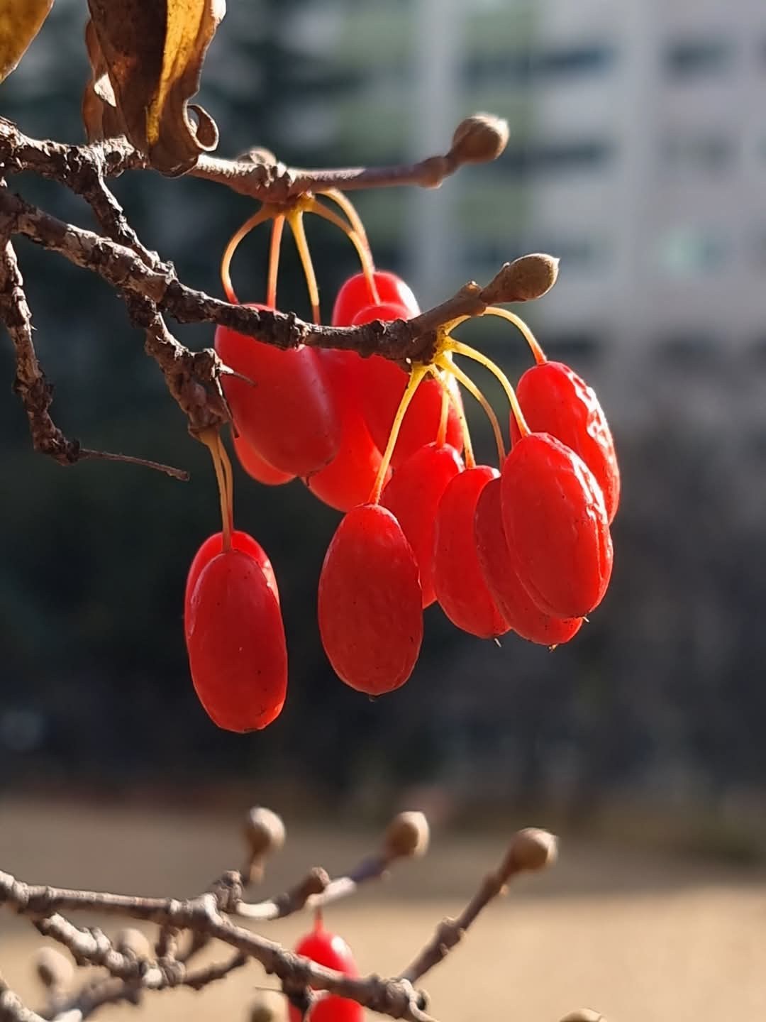 카지노 사이트