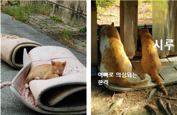 무료 카지노 게임