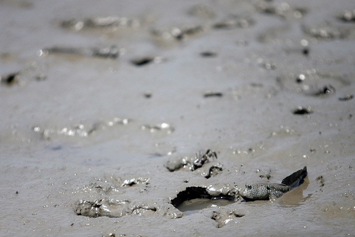 22 다시 집에서살짝나와경계.jpg