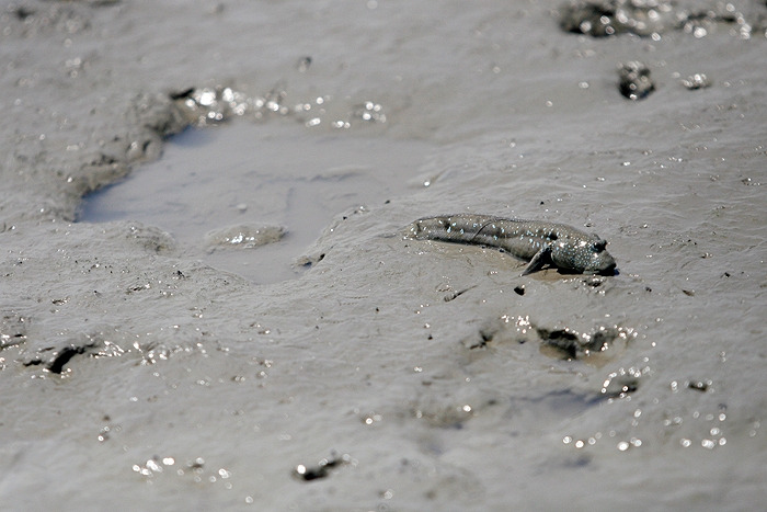 12 또다시망연자실.jpg