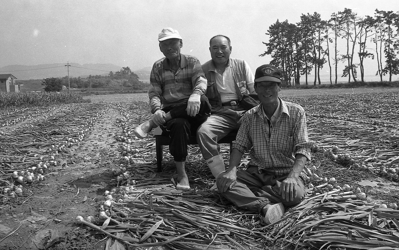 사본 -10김창헌219.jpg