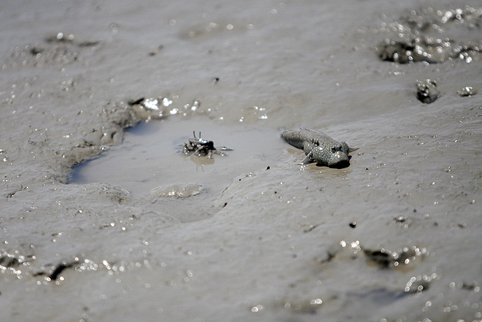 7 망연자실, 집에들어가지도못하고.jpg