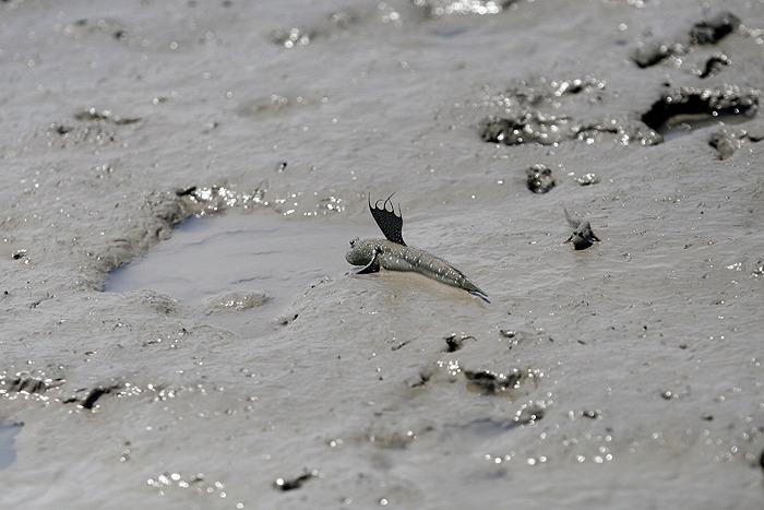 21 유유히 집으로 돌아옮.jpg